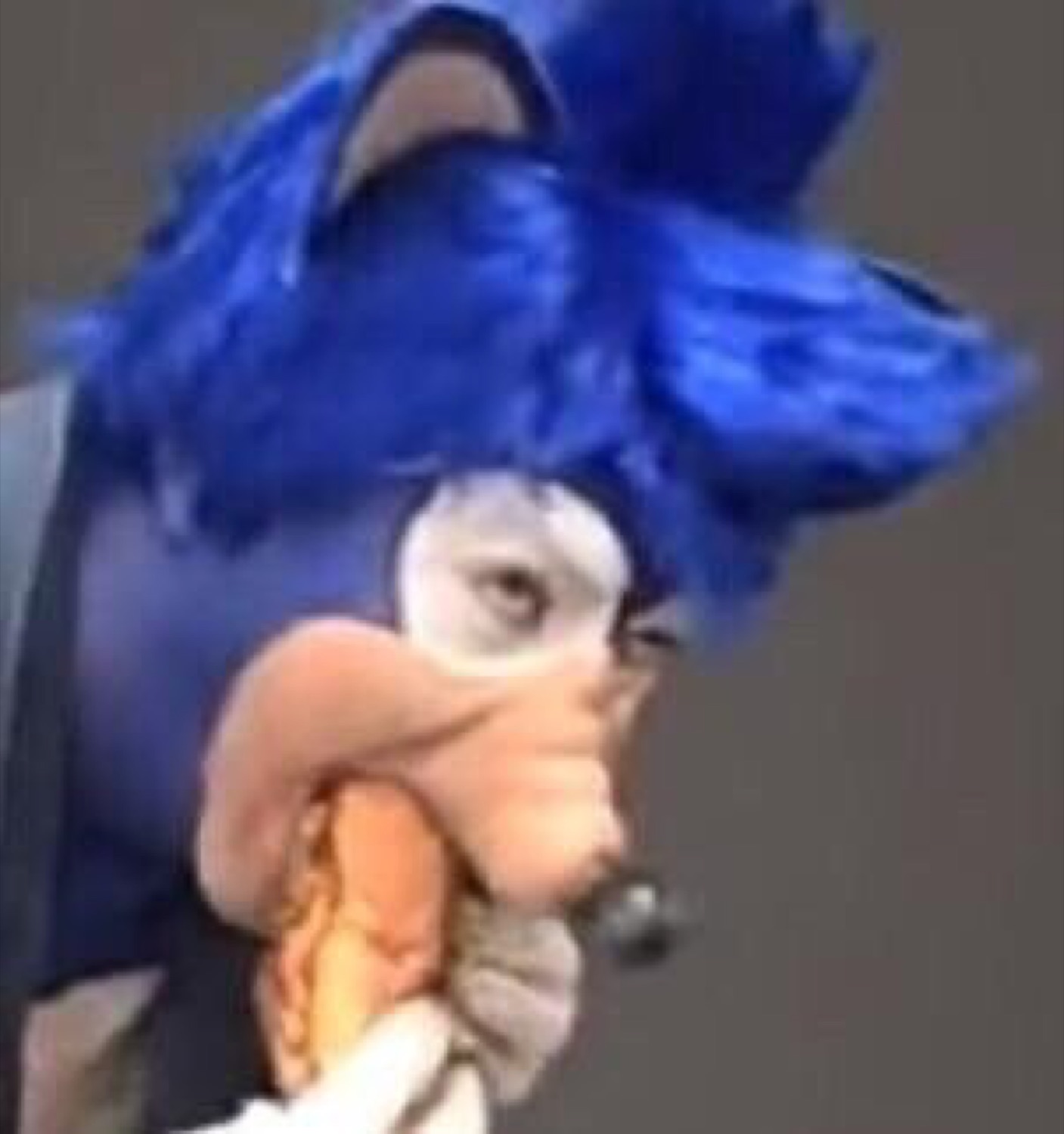 Sonic the Hedgehog puppet held by someone with a deeply distressed, crying expression