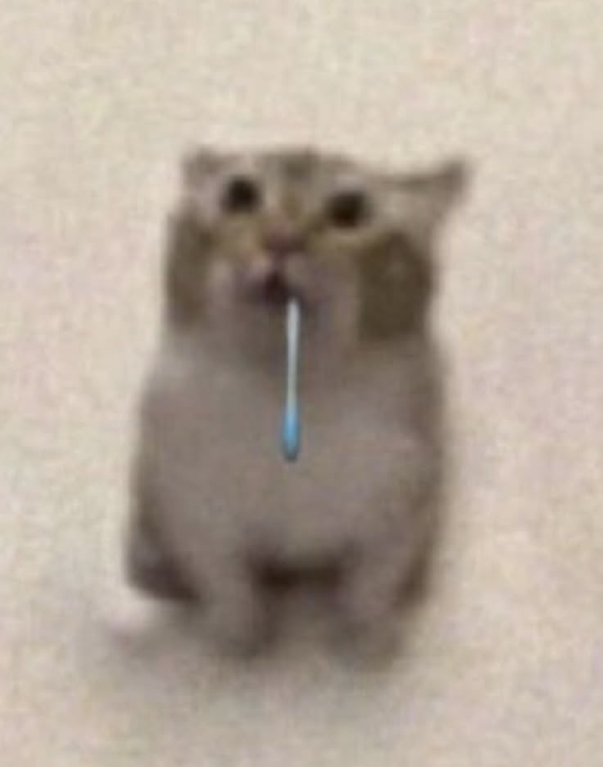 A tiny blurry hamster drooling a long strand while looking utterly defeated