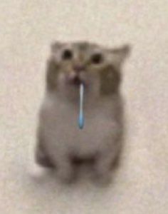 A tiny blurry hamster drooling a long strand while looking utterly defeated