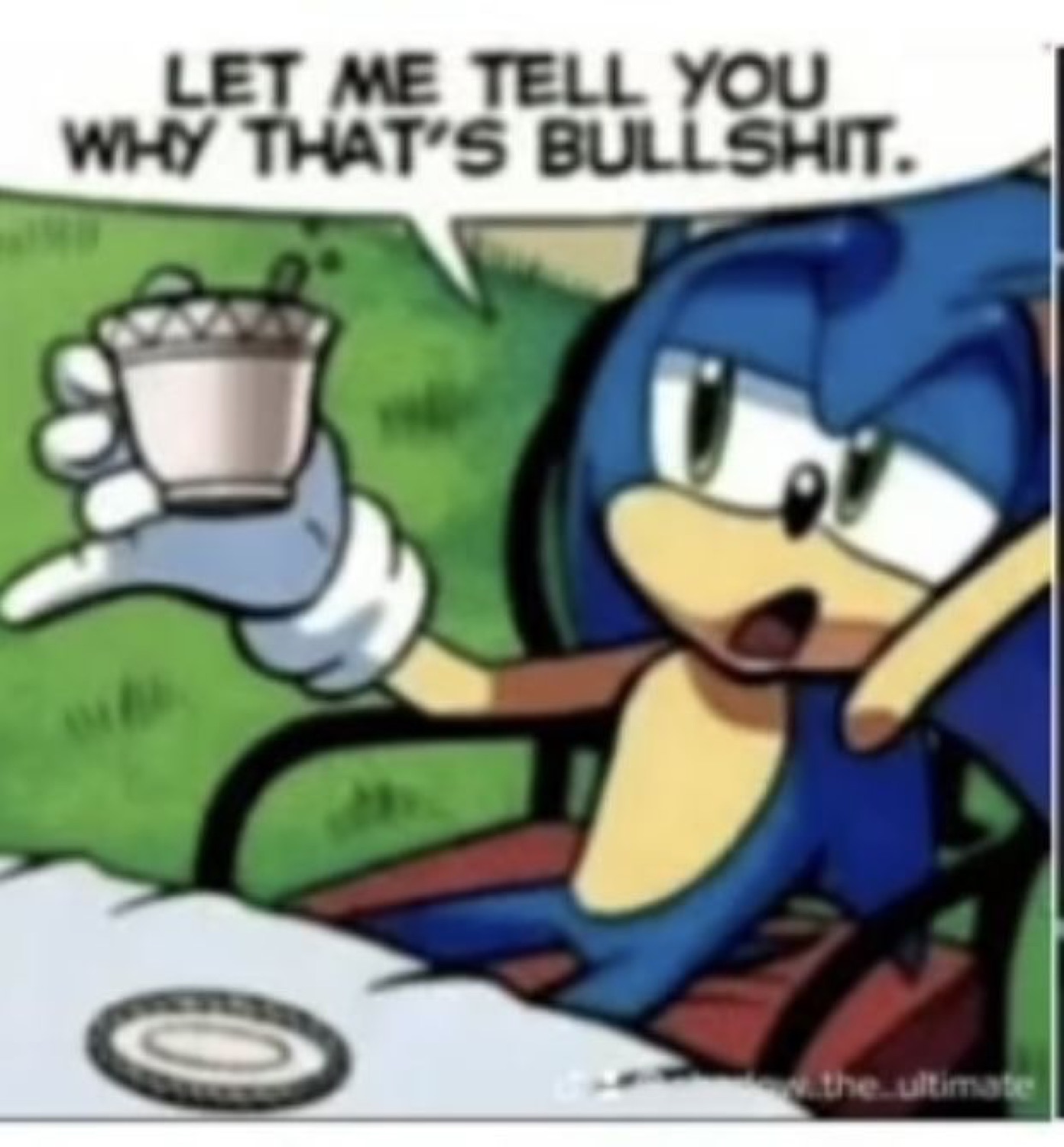 Sonic the Hedgehog slamming down his tea ready to call out some nonsense