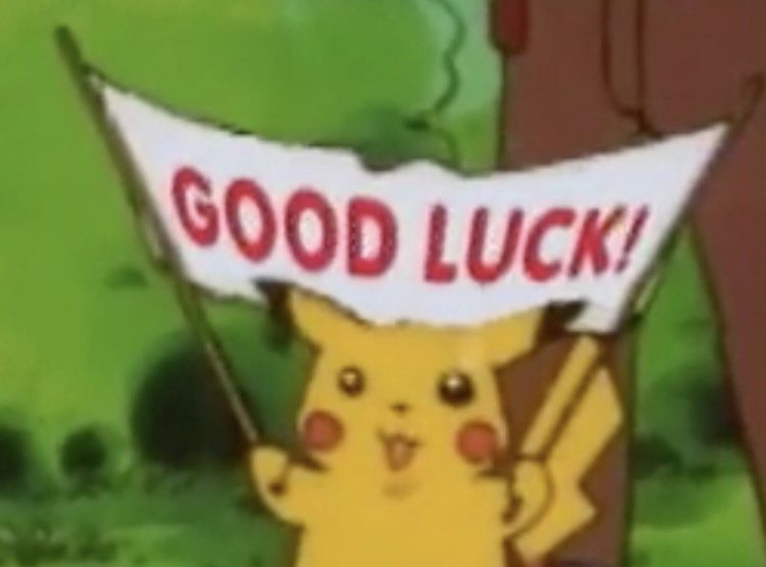 Pikachu waving a banner: 'GOOD LUCK!'