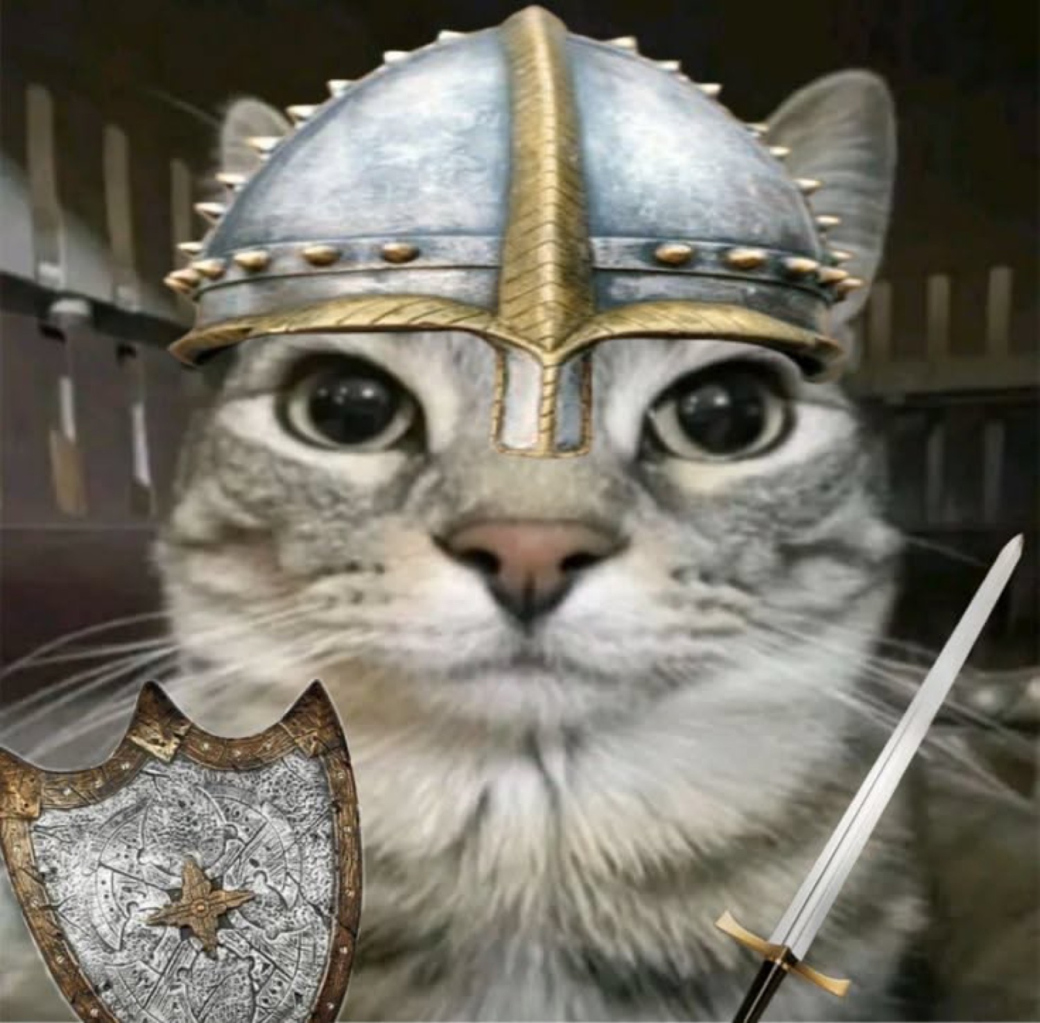 Grey cat in a viking helmet with a shield and sword, staring into the camera