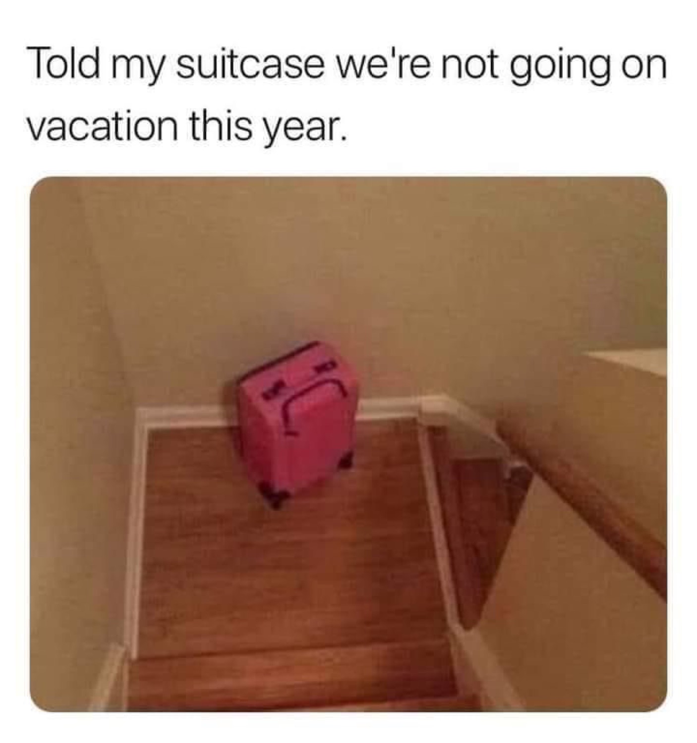 Pink suitcase sitting at the bottom of the stairs: 'Told my suitcase we're not going on vacation this year.'