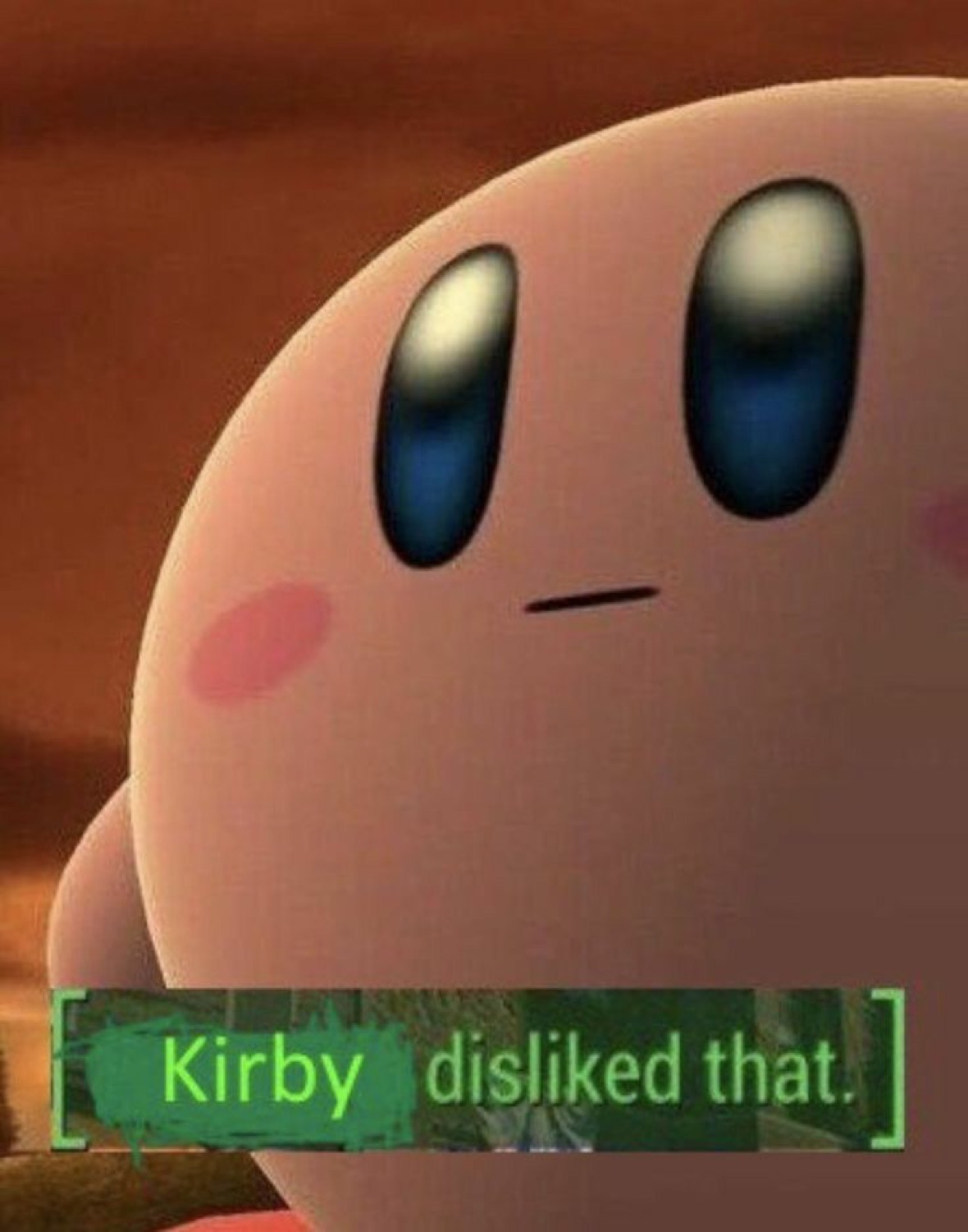Close-up of Kirby with a flat stare captioned 'Kirby disliked that.'