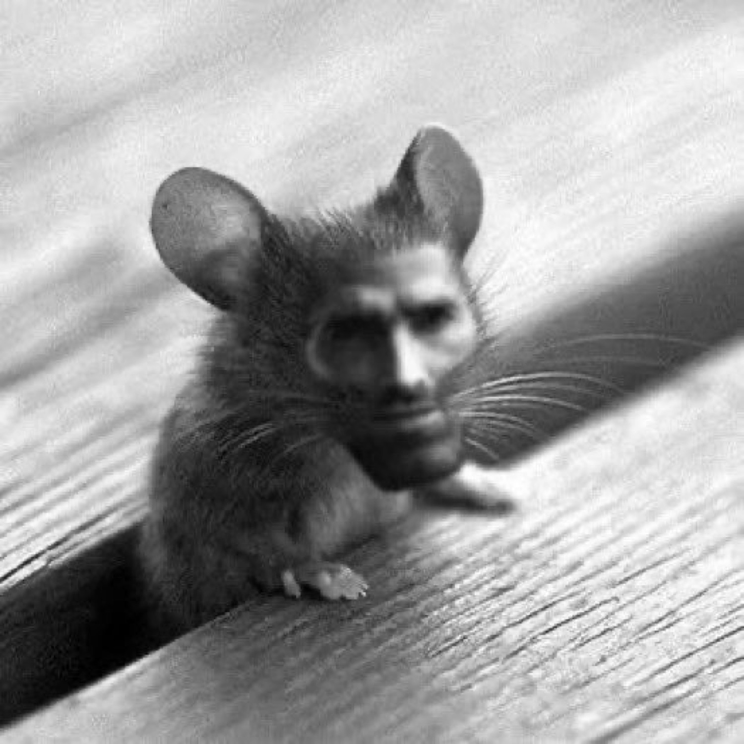 Mouse edited with a tiny chiseled chad face