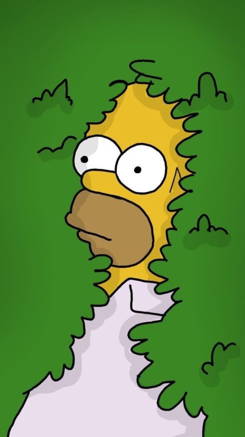 Homer Simpson half sunk into a hedge, staring sideways in awkward silence