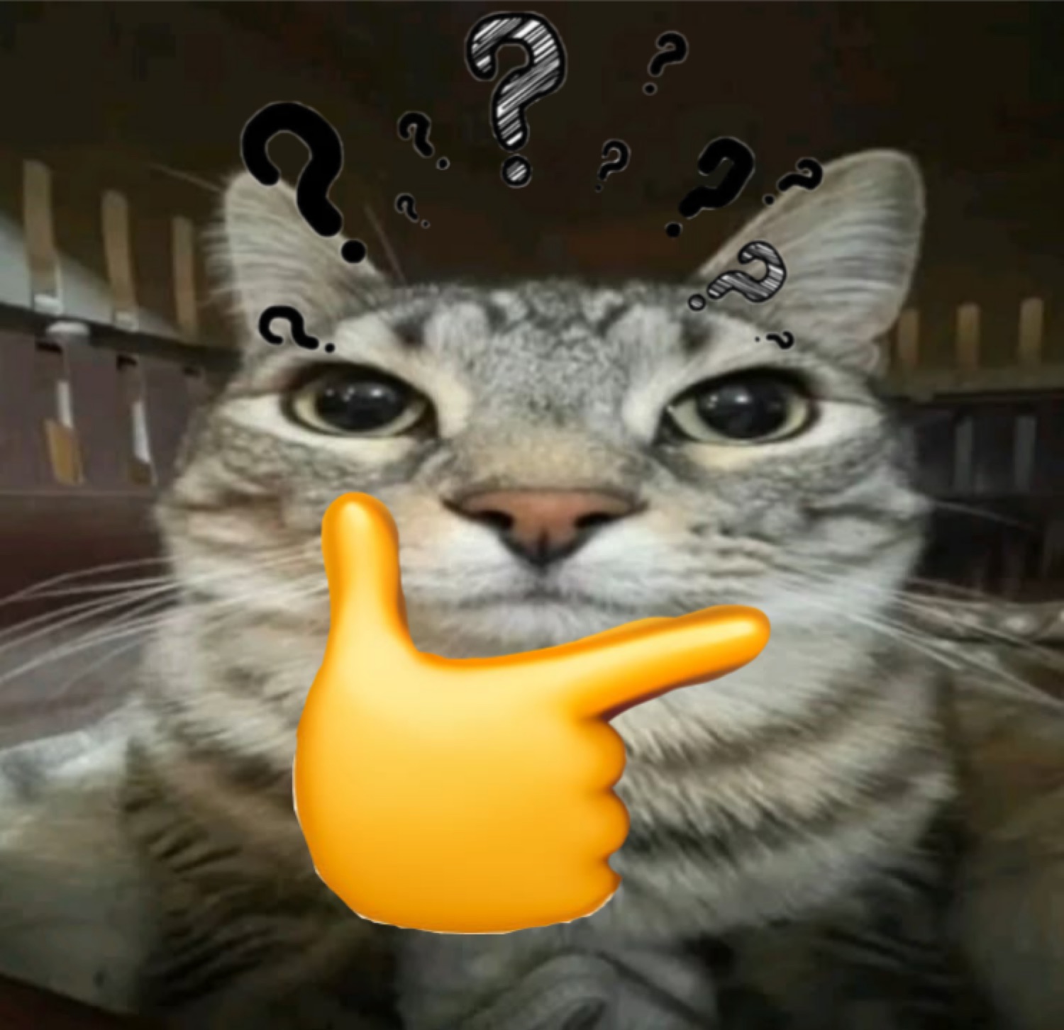 Tabby cat surrounded by floating question marks with a big pointing hand emoji overlay