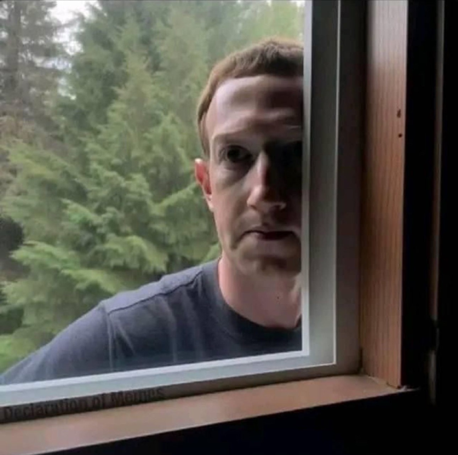 Mark Zuckerberg peering through a window with a flat, deadpan stare