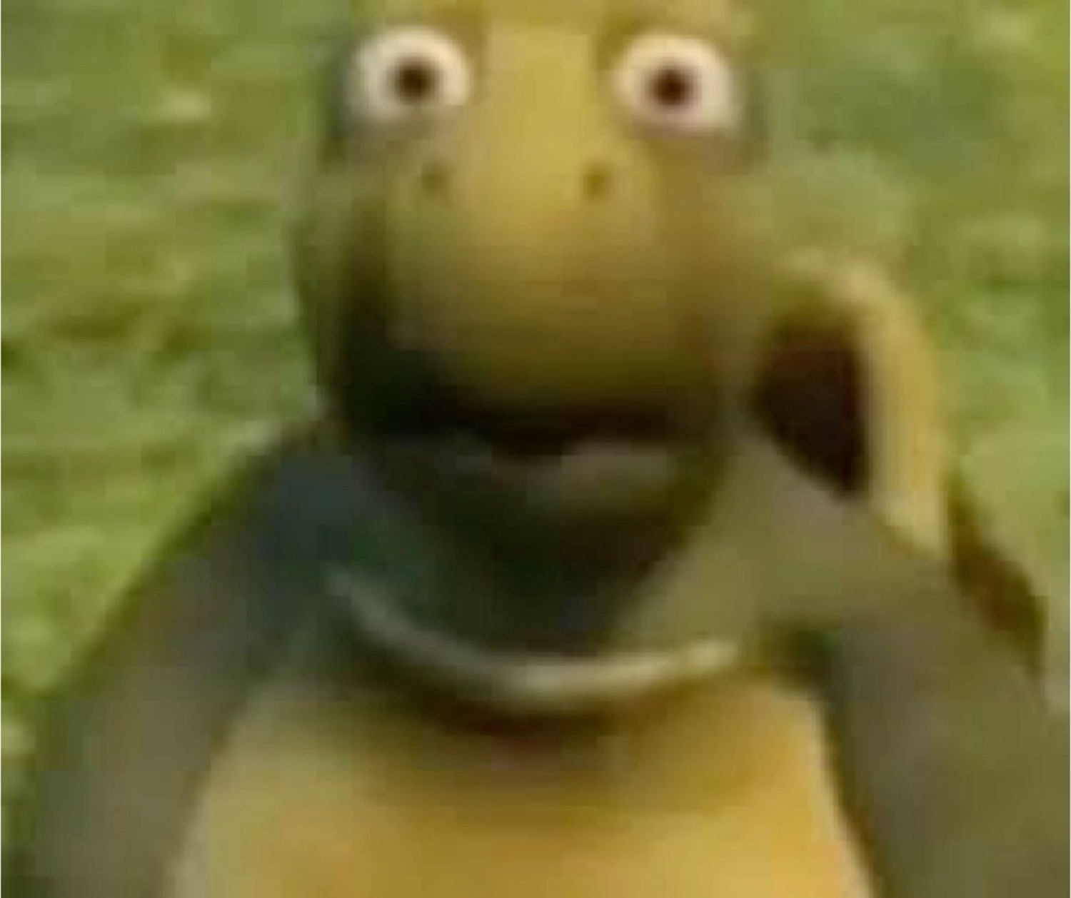 Grainy CGI turtle staring wide-eyed straight at the camera in shock