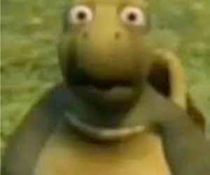 Grainy CGI turtle staring wide-eyed straight at the camera in shock