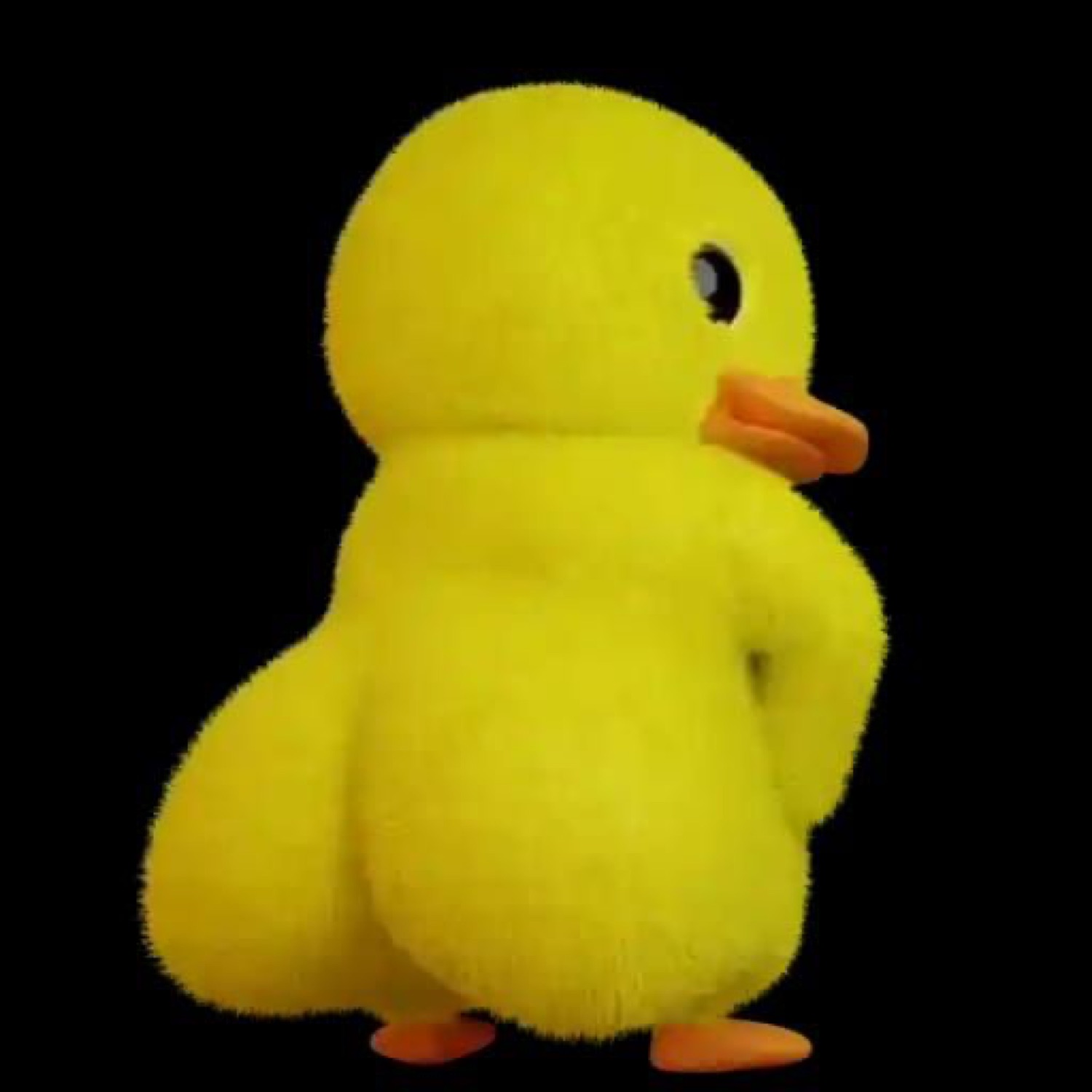 Fluffy yellow duckling seen from behind, wiggling