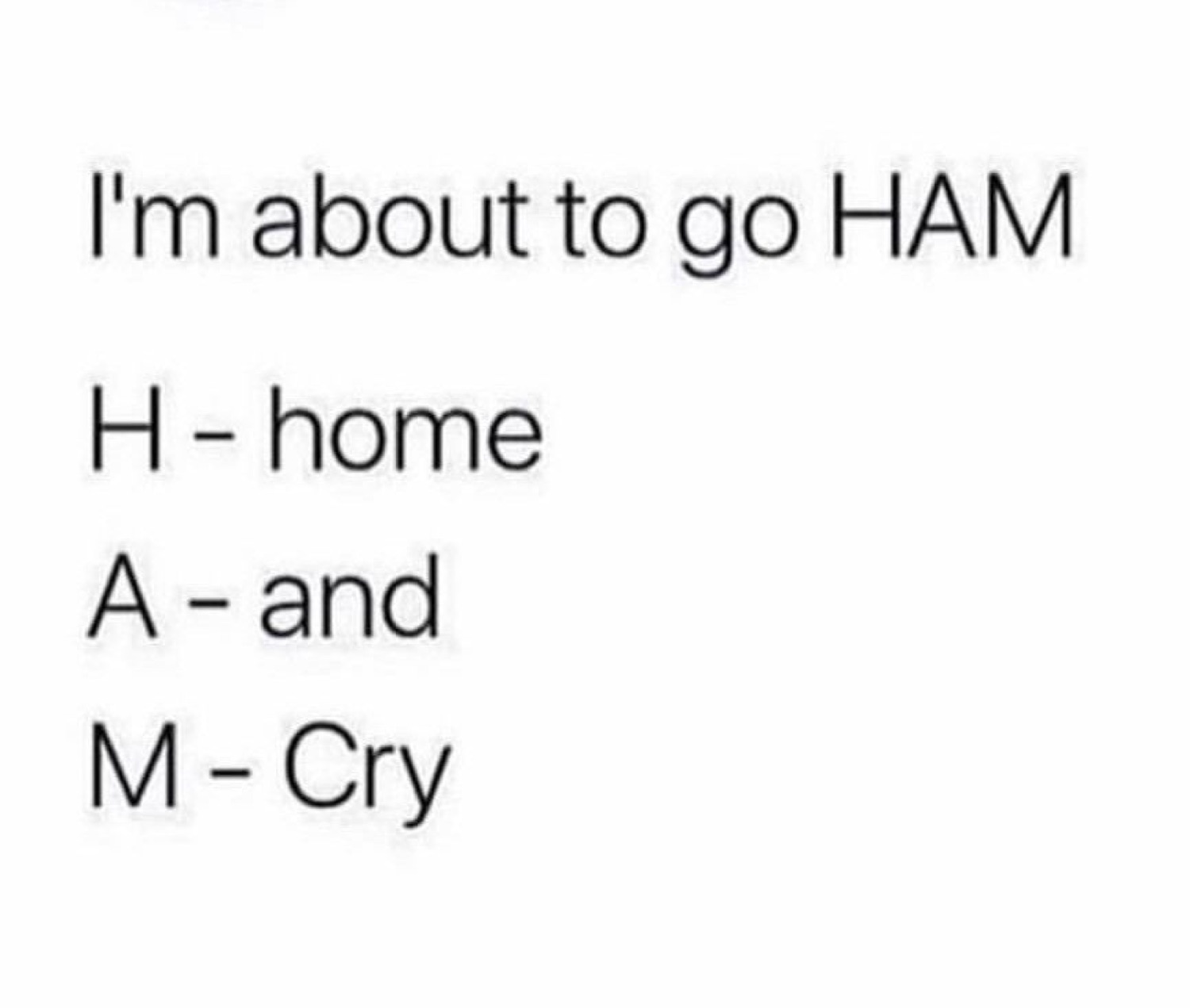 Text meme: 'I'm about to go HAM / H - home / A - and / M - Cry'