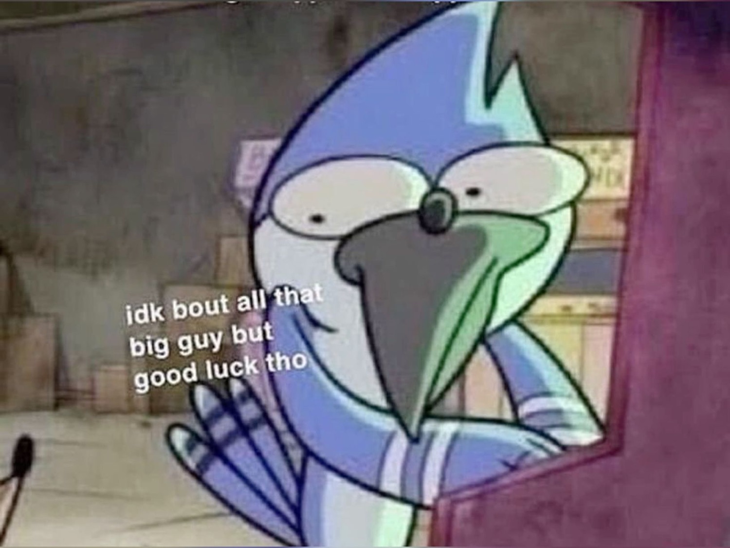 Mordecai from Regular Show: 'idk bout all that big guy but good luck tho'