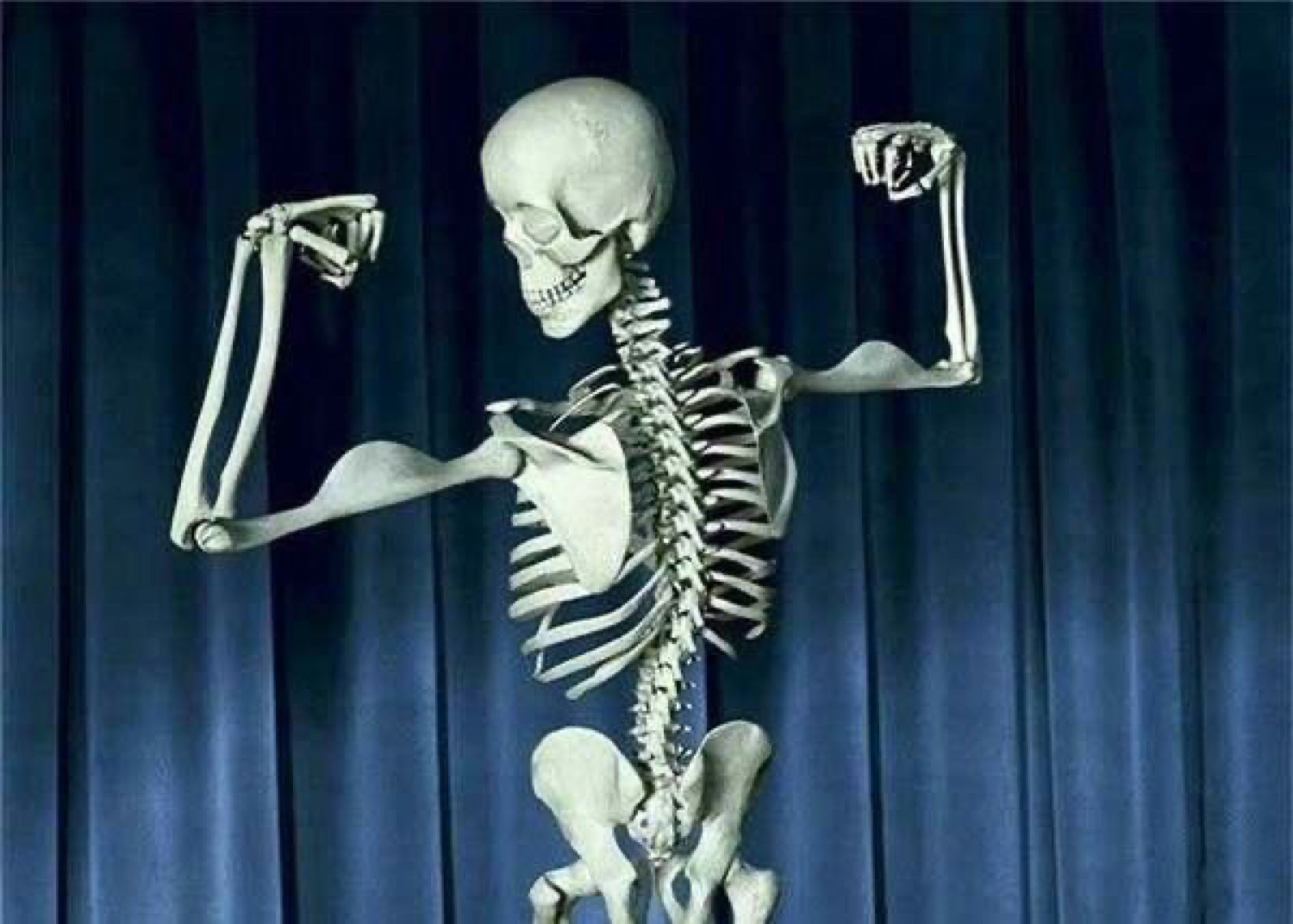 Skeleton flexing on a stage