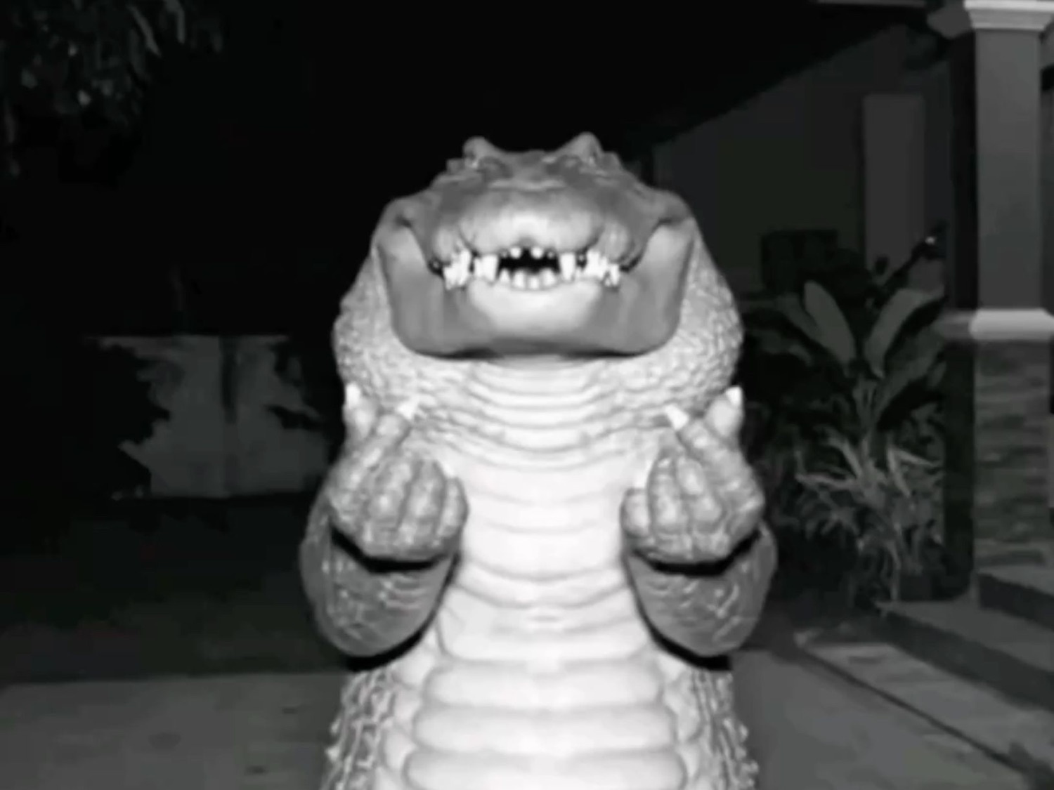 Grinning alligator standing upright at night with its hands clasped like it's scheming