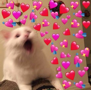White fluffy cat yelling joyfully surrounded by a shower of heart emojis