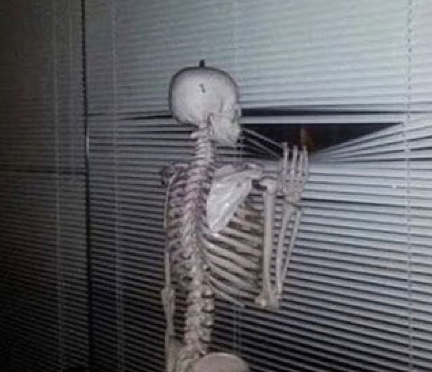 Skeleton peeking through window blinds