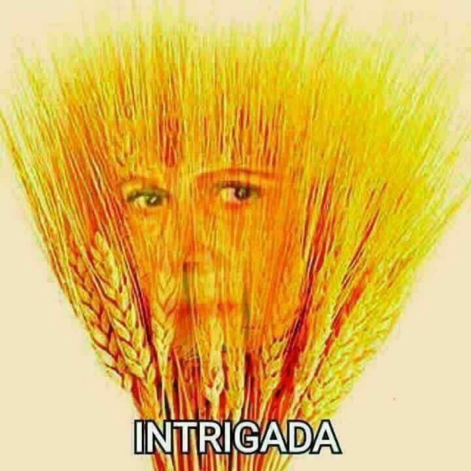 A woman's eyes peer out from within a bundle of wheat stalks, captioned 'INTRIGADA'