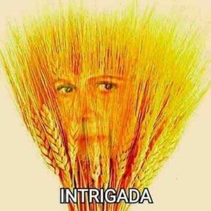 A woman's eyes peer out from within a bundle of wheat stalks, captioned 'INTRIGADA'