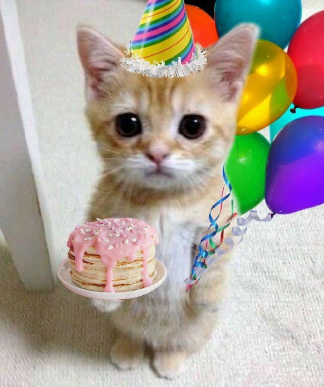 Tiny kitten in a party hat holding a pink birthday cake with balloons behind it