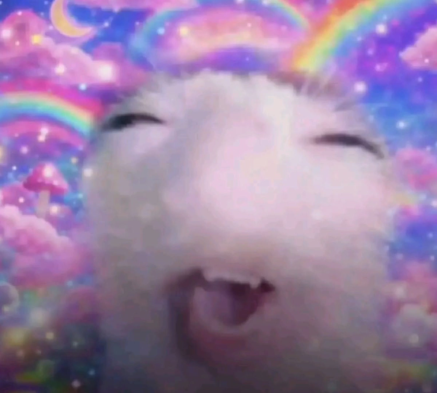 Fluffy hamster mid-laugh in a rainbow kawaii dream background
