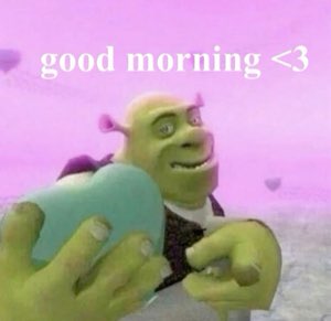 Shrek holding a heart-shaped pillow: 'good morning <3'