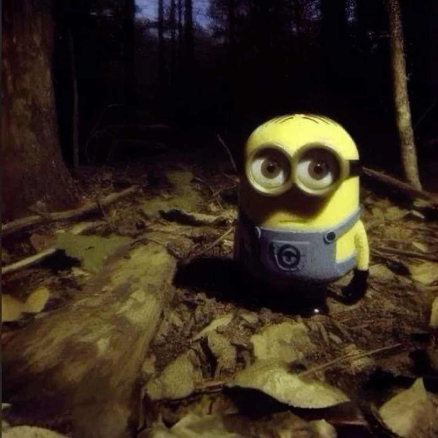 Minion toy standing alone in a dark forest, looking small and lost