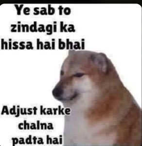 Cheems shrugging: 'Ye sab to zindagi ka hissa hai bhai / Adjust karke chalna padta hai'