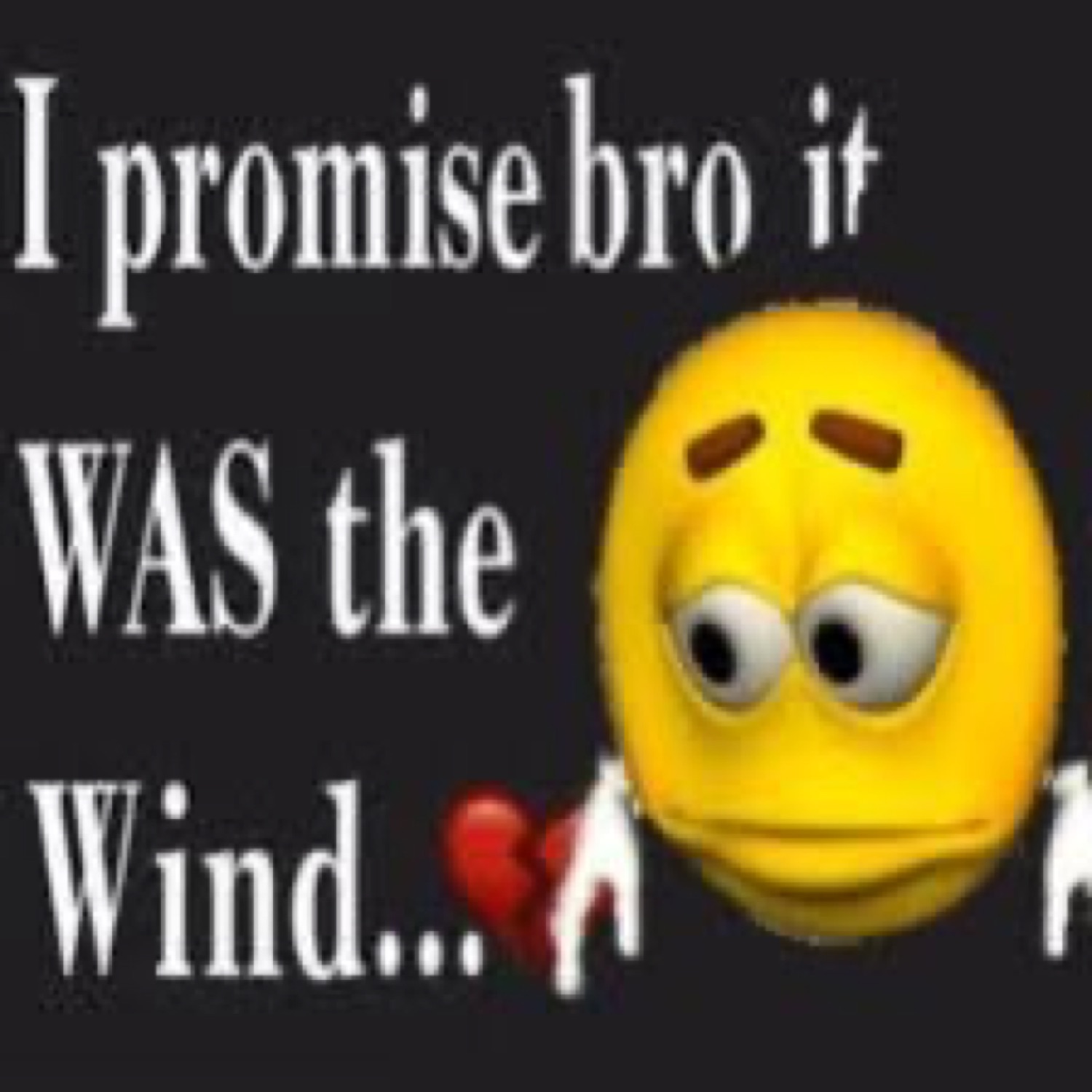 Sad 3D smiley face crying next to 'I promise bro it WAS the Wind...'
