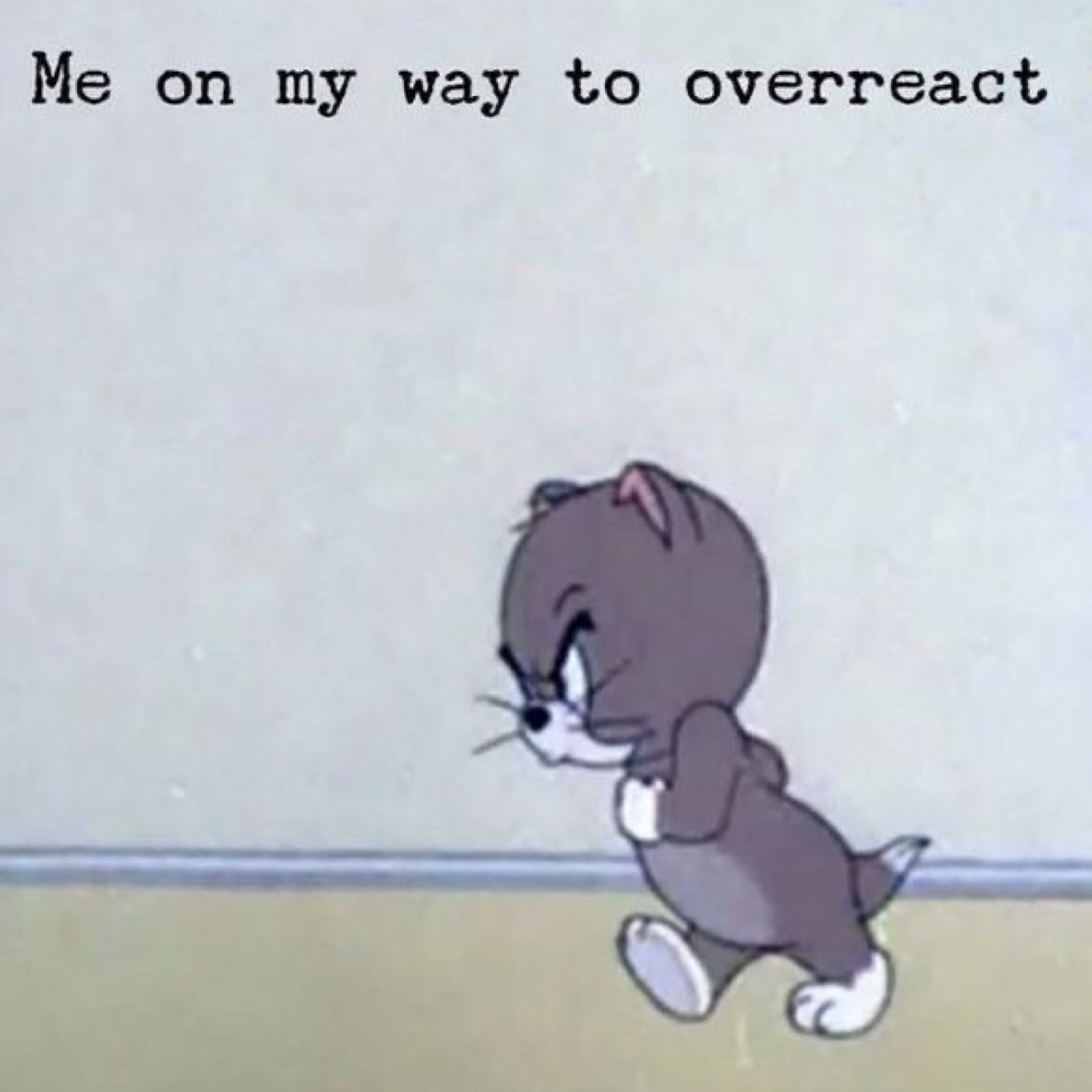 Tom and Jerry kitten marching: 'Me on my way to overreact'