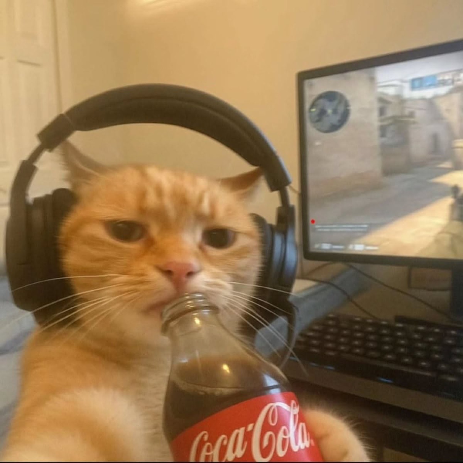Orange tabby cat wearing headphones, holding a Coca-Cola bottle, staring blankly at a gaming monitor