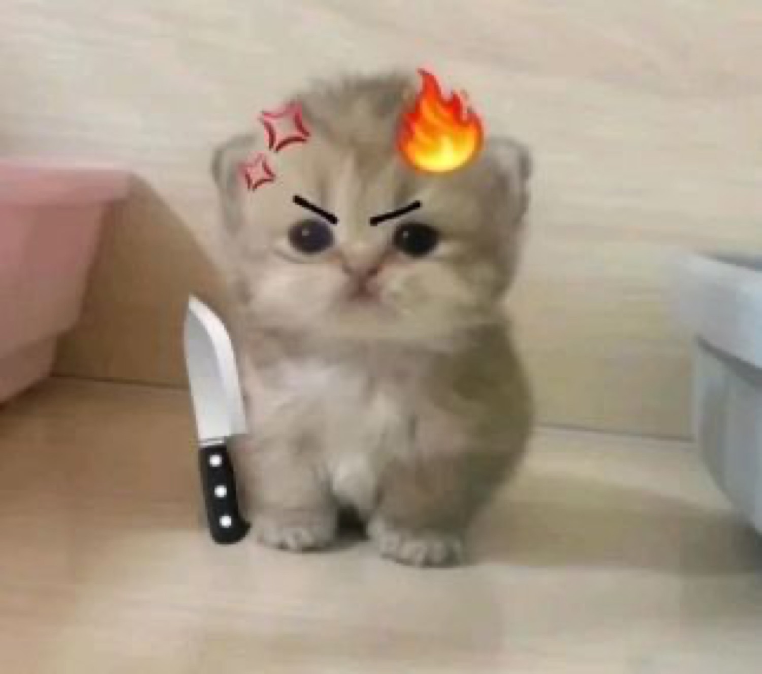 Tiny kitten with drawn-on angry brows and a fire emoji on its head sits next to a knife