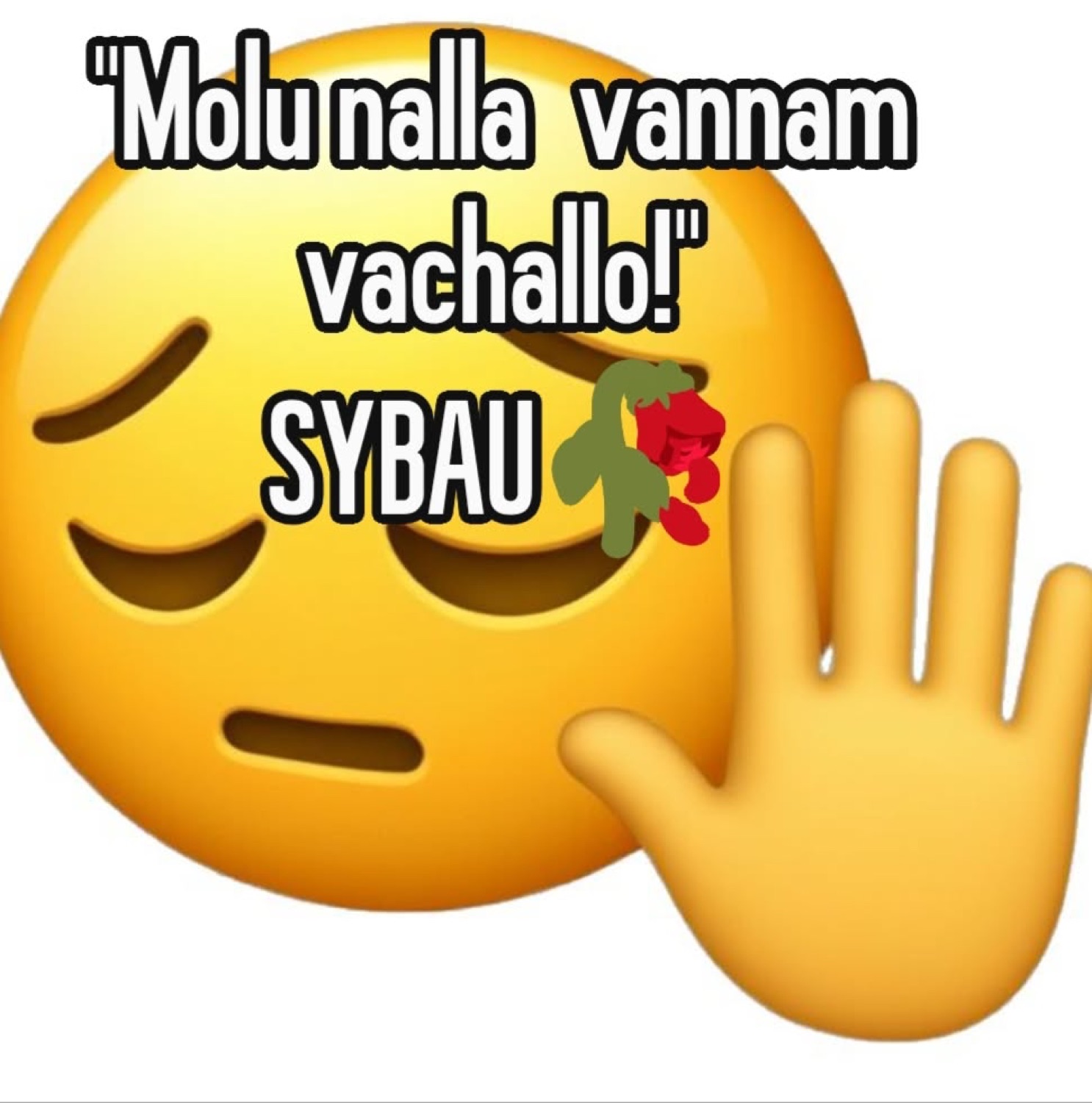 Sad emoji with a raised hand: '"Molu nalla vannam vachallo!" SYBAU'