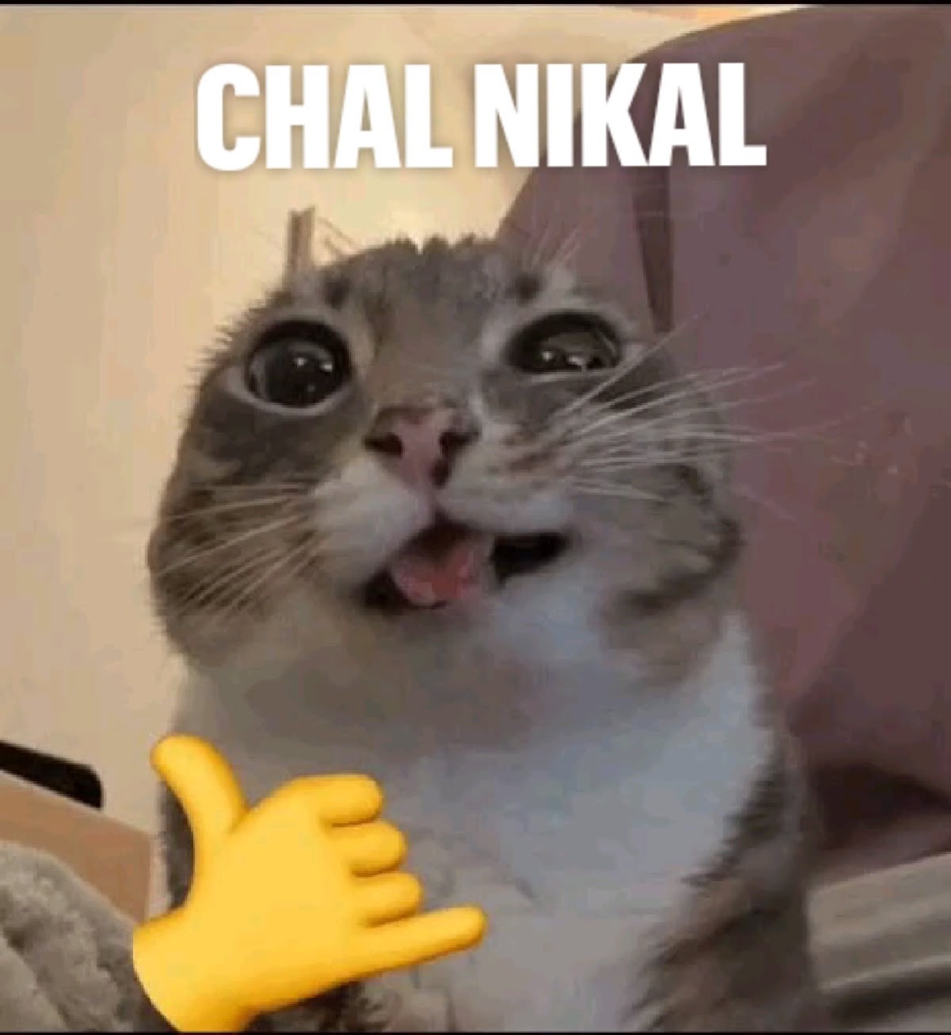 Grinning cat with a shaka hand: 'CHAL NIKAL'