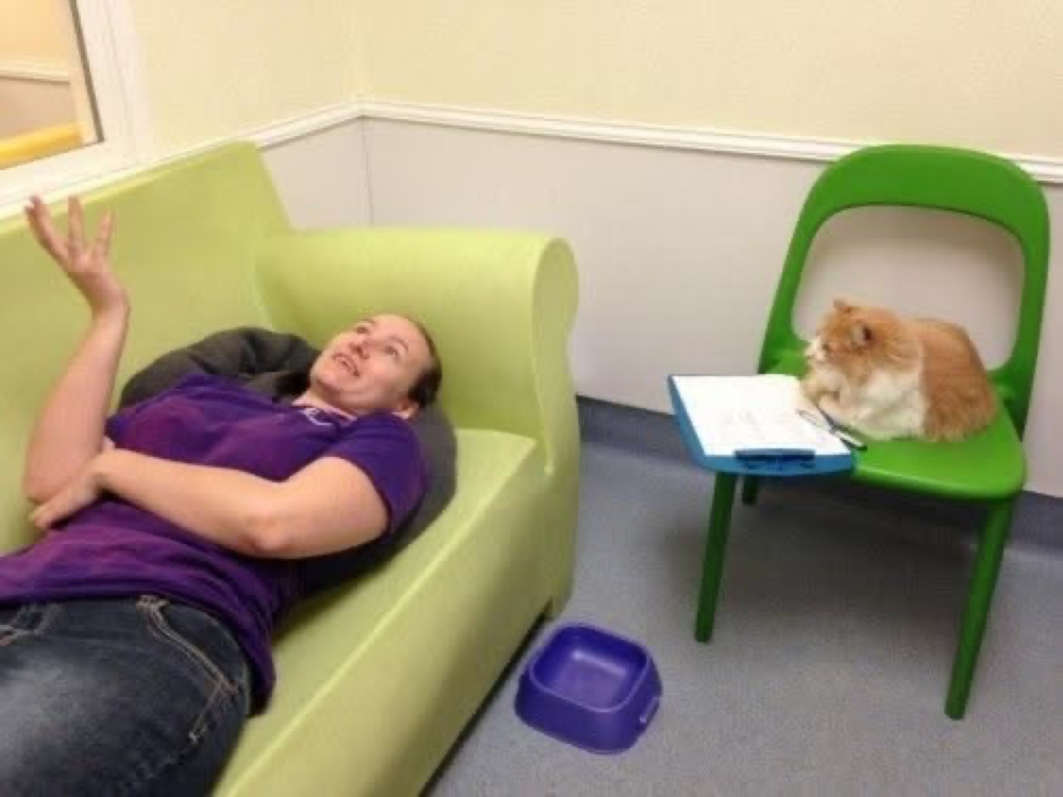 Woman lying on a couch mid-gesture like a therapy session while a fluffy cat sits on a chair with a clipboard