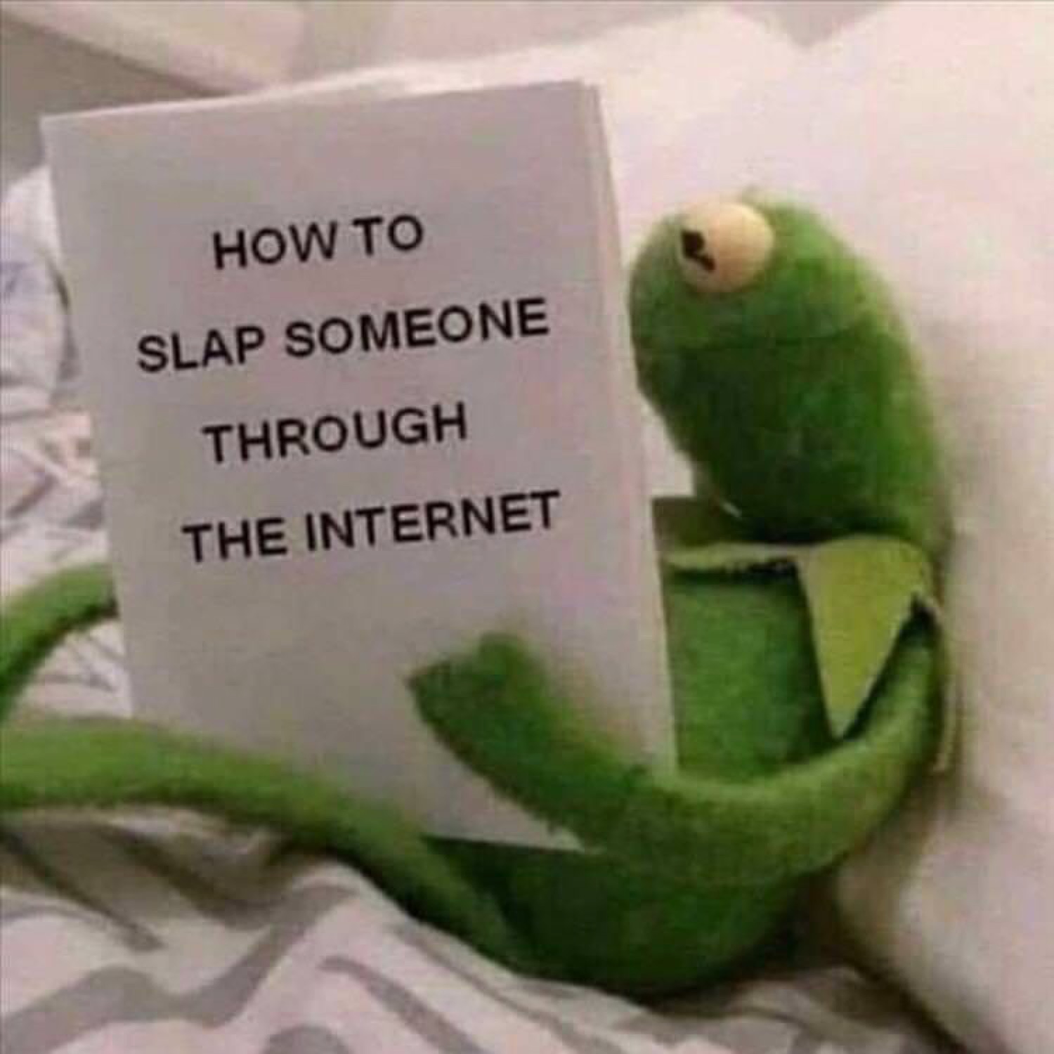 Kermit in bed holding a book titled 'How to slap someone through the internet'