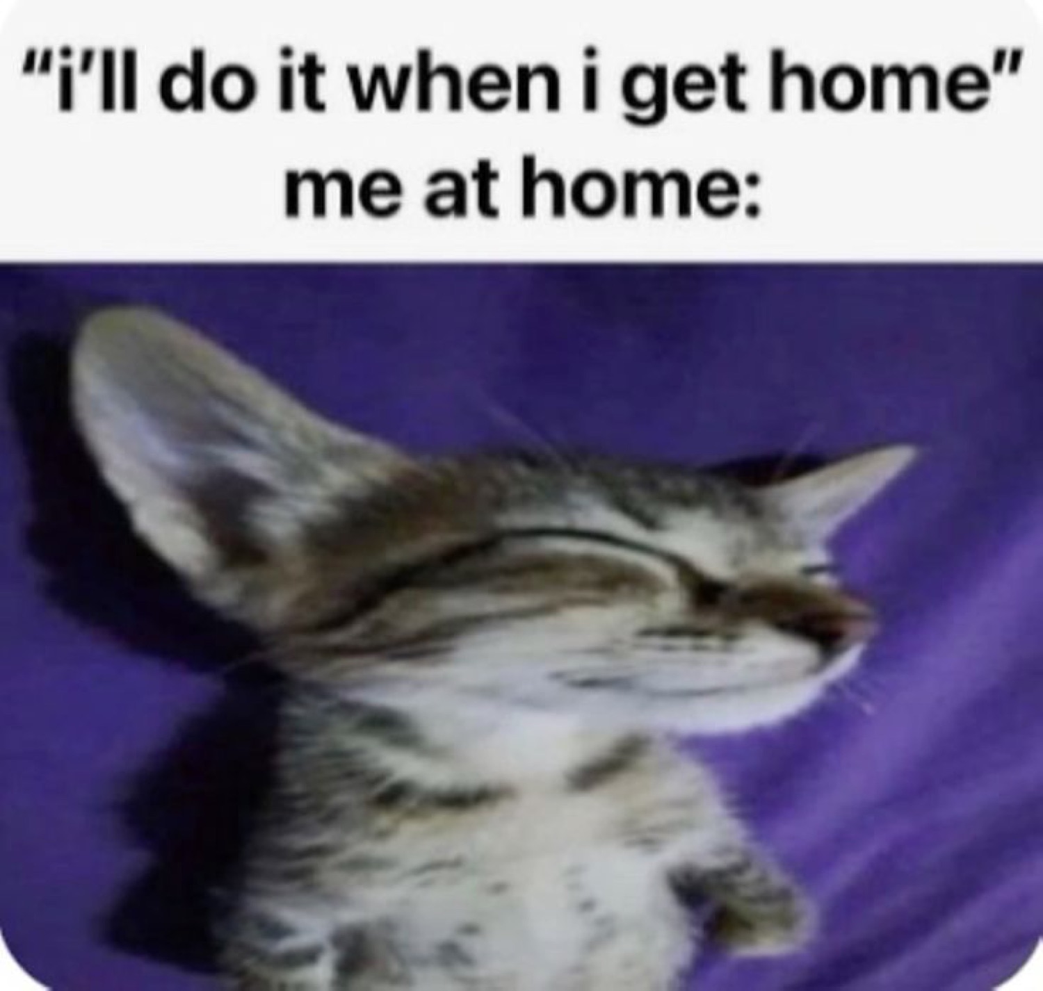Sleepy tabby kitten with eyes shut captioned 'i'll do it when i get home' / 'me at home:'
