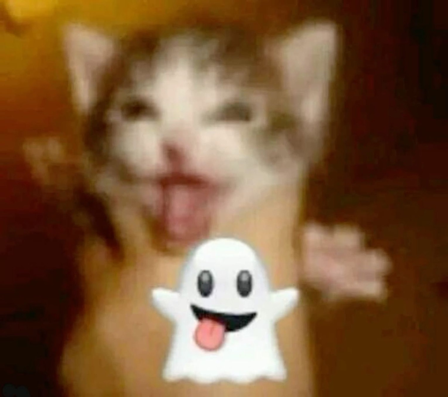 Blurry kitten screaming with joy behind a tongue-out ghost emoji