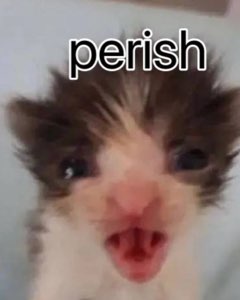 Tiny hissing kitten with 'perish' written above it — tiny but unhinged