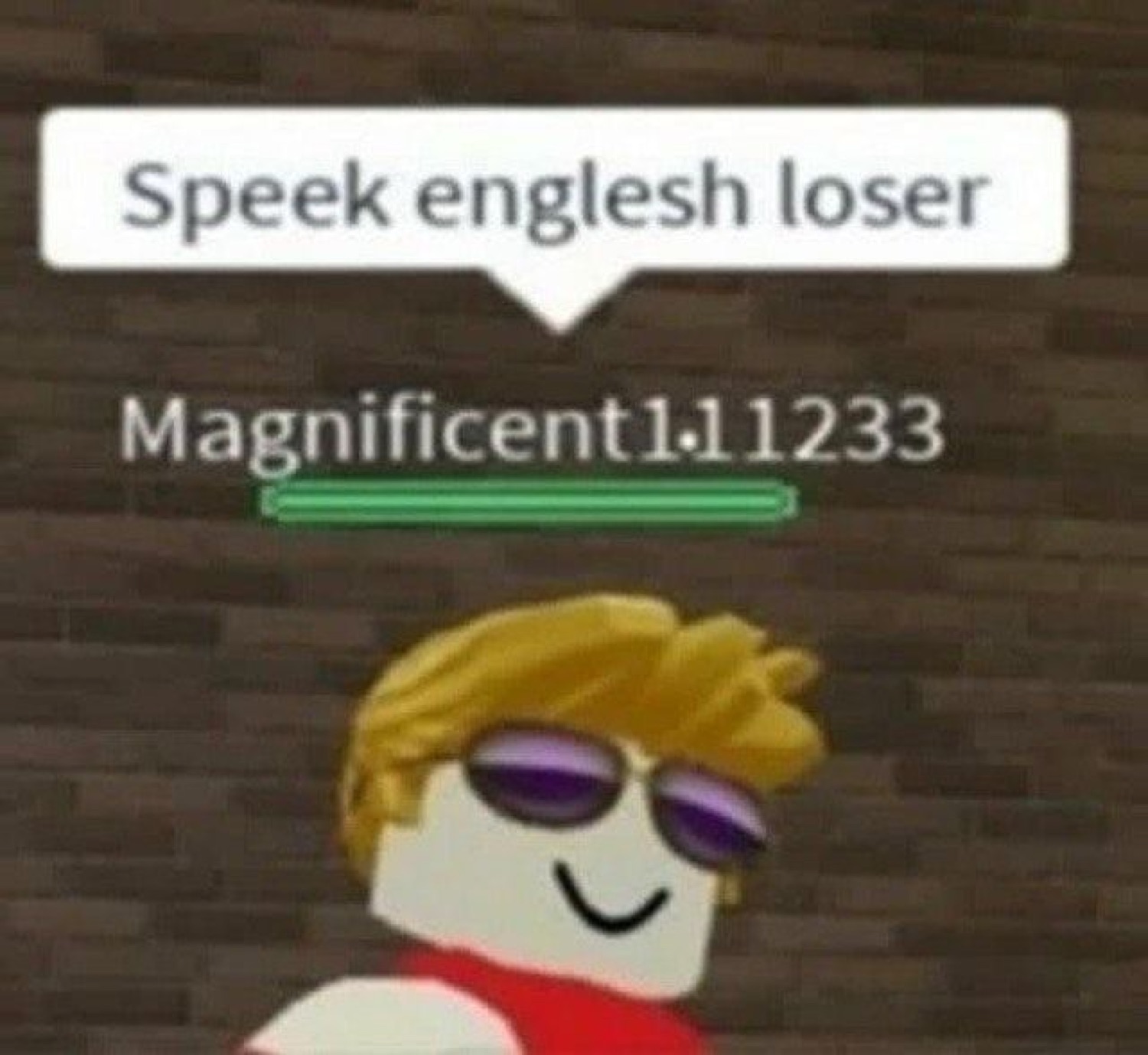Roblox avatar staring blankly under the taunt 'Speek englesh loser'