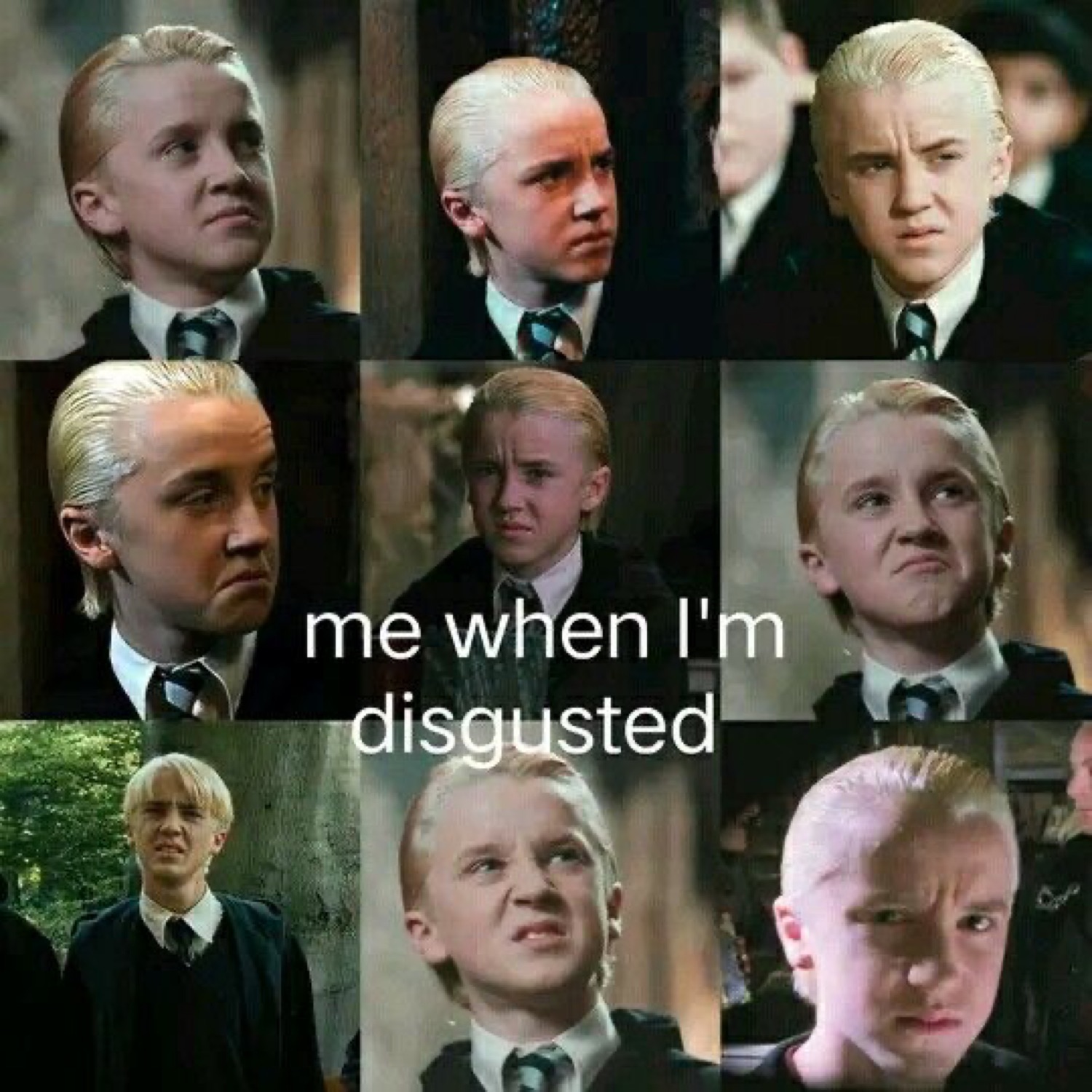Grid of Draco Malfoy's disgusted faces under 'me when I'm disgusted'