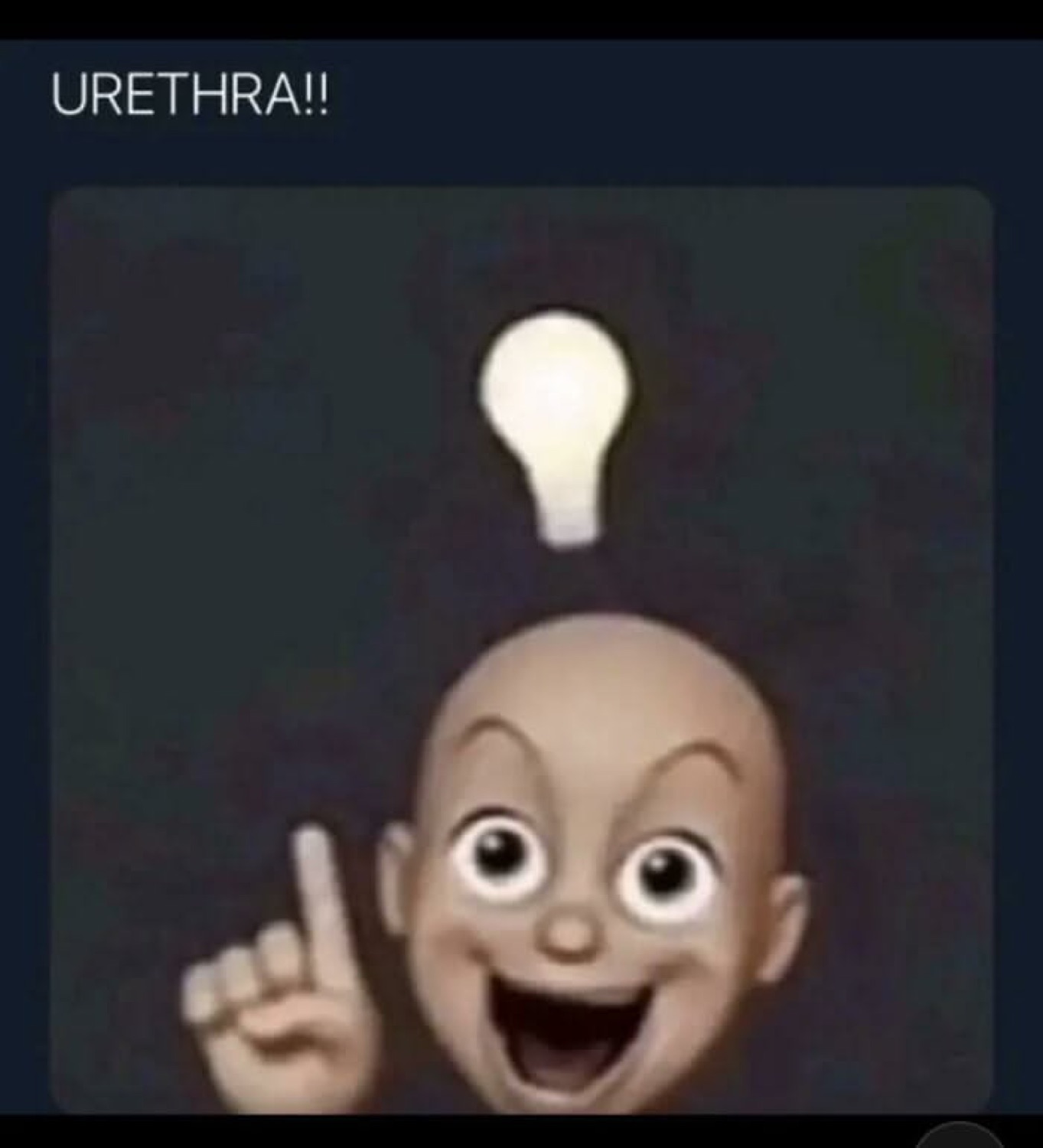 Grinning 3D baby emoji with a lightbulb overhead pointing up, captioned 'URETHRA!!'