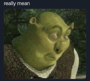 Blurry low-res Shrek staring blankly captioned 'really mean'