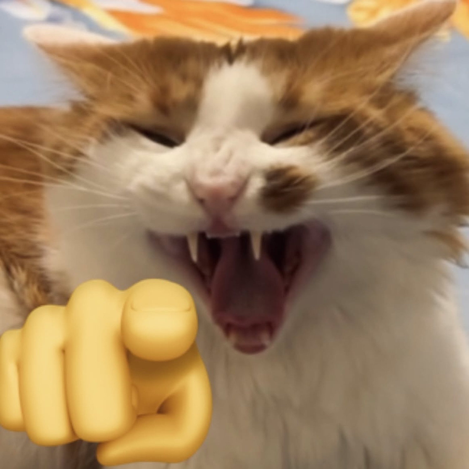 Fluffy orange cat screaming wide open with a pointing emoji aimed right at you