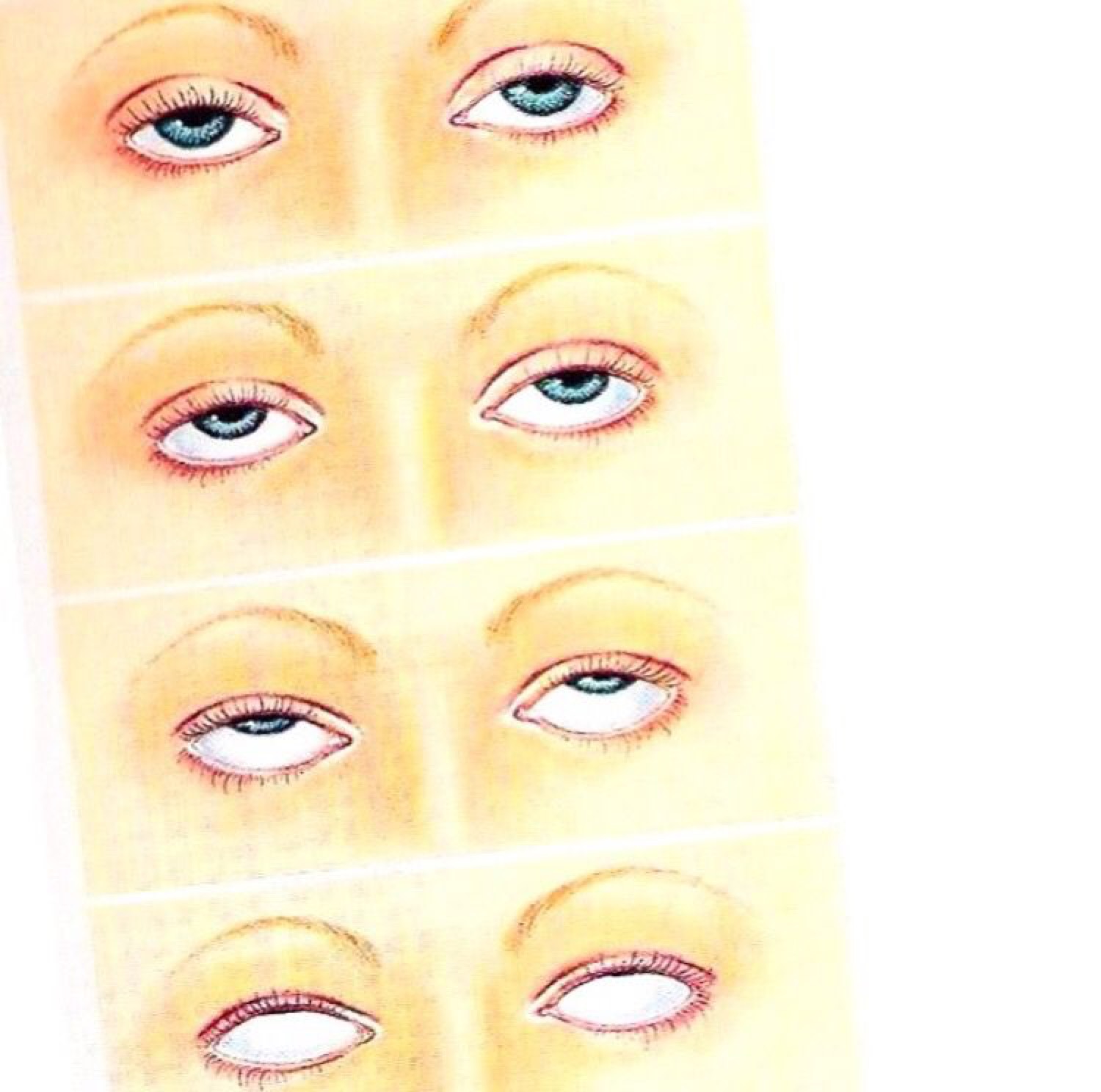 Medical illustration chart showing eyes rolling through different positions