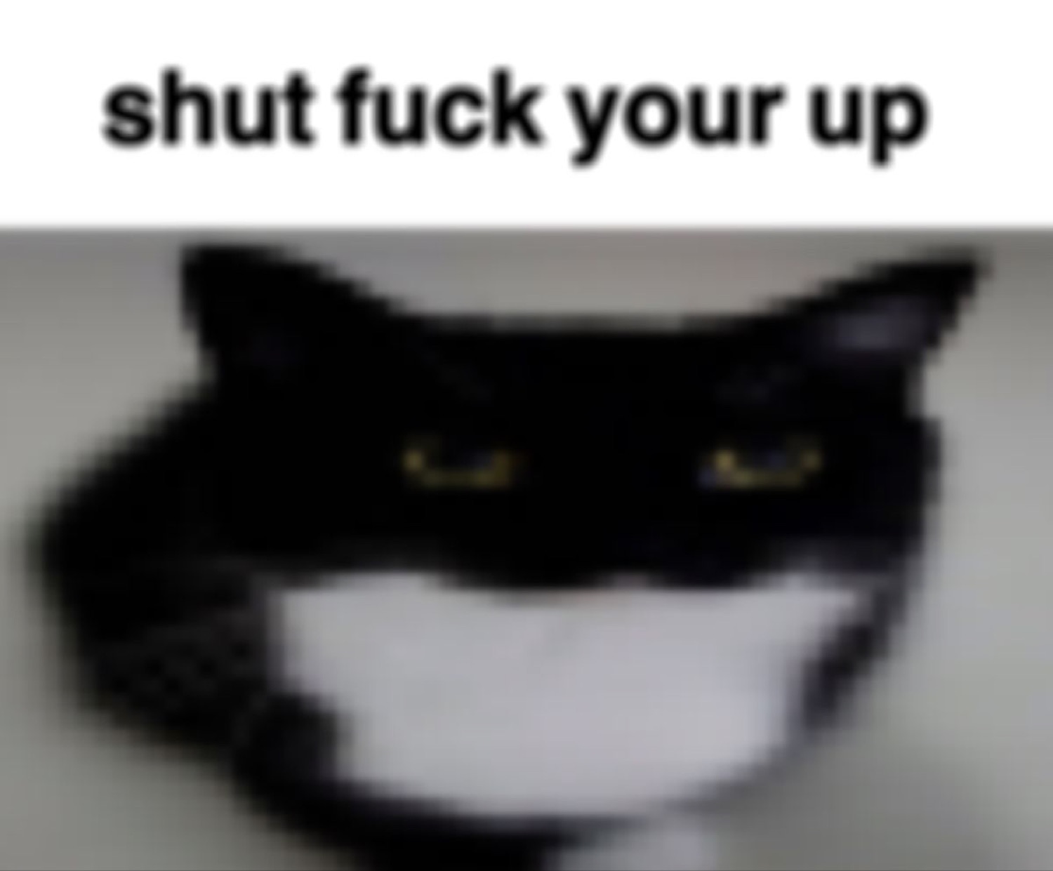 Pixelated tuxedo cat glaring with the scrambled caption 'shut fuck your up'