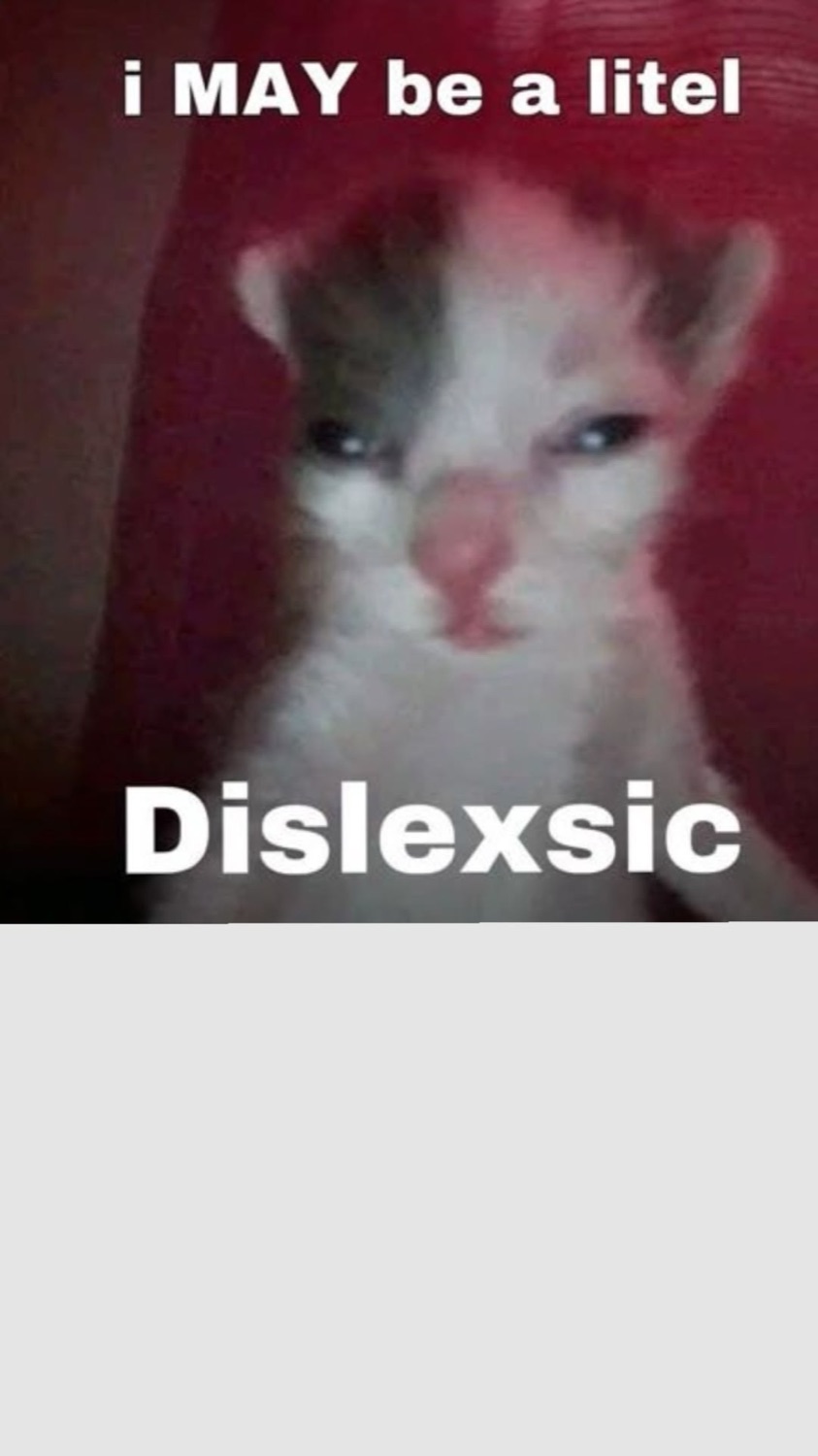 Squinting kitten: 'i MAY be a litel Dislexsic'