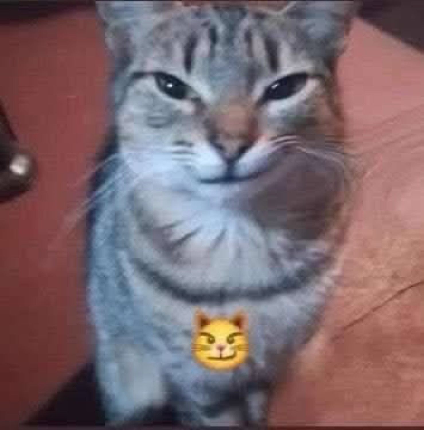 Grinning tabby cat with a smirking-cat emoji overlaid on its chest