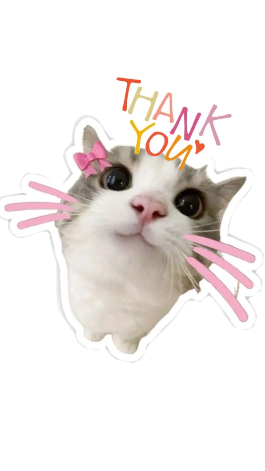 Cat sticker with a pink bow: 'THANK YOU'
