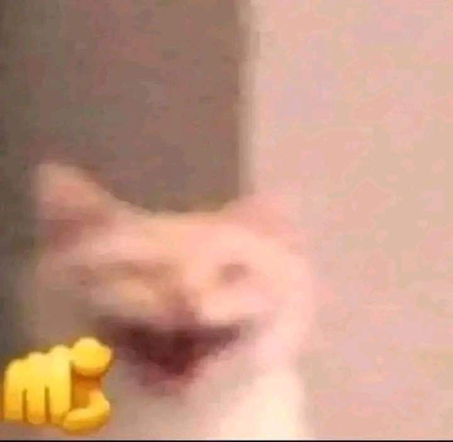 Blurry white cat grinning wide with a tiny raised paw fist emoji beside it